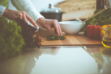 Unknown human hands cooking in kitchen. Woman slicing green onion. Healthy meal, and vegetarian food concept