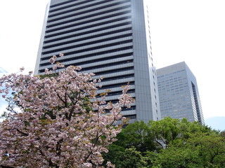 旧芝離宮恩賜庭園