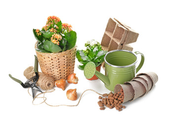Set of gardening supplies on white background