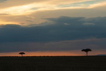 Fototapeta na wymiar Beautiful Sunset at Masai Mara, Kenya, Africa