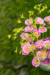 flowerarrangement with pink gerbera flowers with a green blurry background
