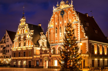 Fototapeta na wymiar Christmas postcard of Riga. House of the Blackheads with Christmas tree at night, old town Riga, Latvia