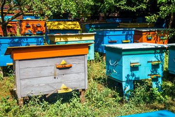 A beehive from a tree stands on an apiary. The houses of the bees are placed on the green grass. Private enterprise for beekeeping. Honey healthy food products.Wooden beehive.