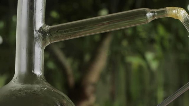 Getting essential oil from herbs and flowers in a glass flask, Distillation