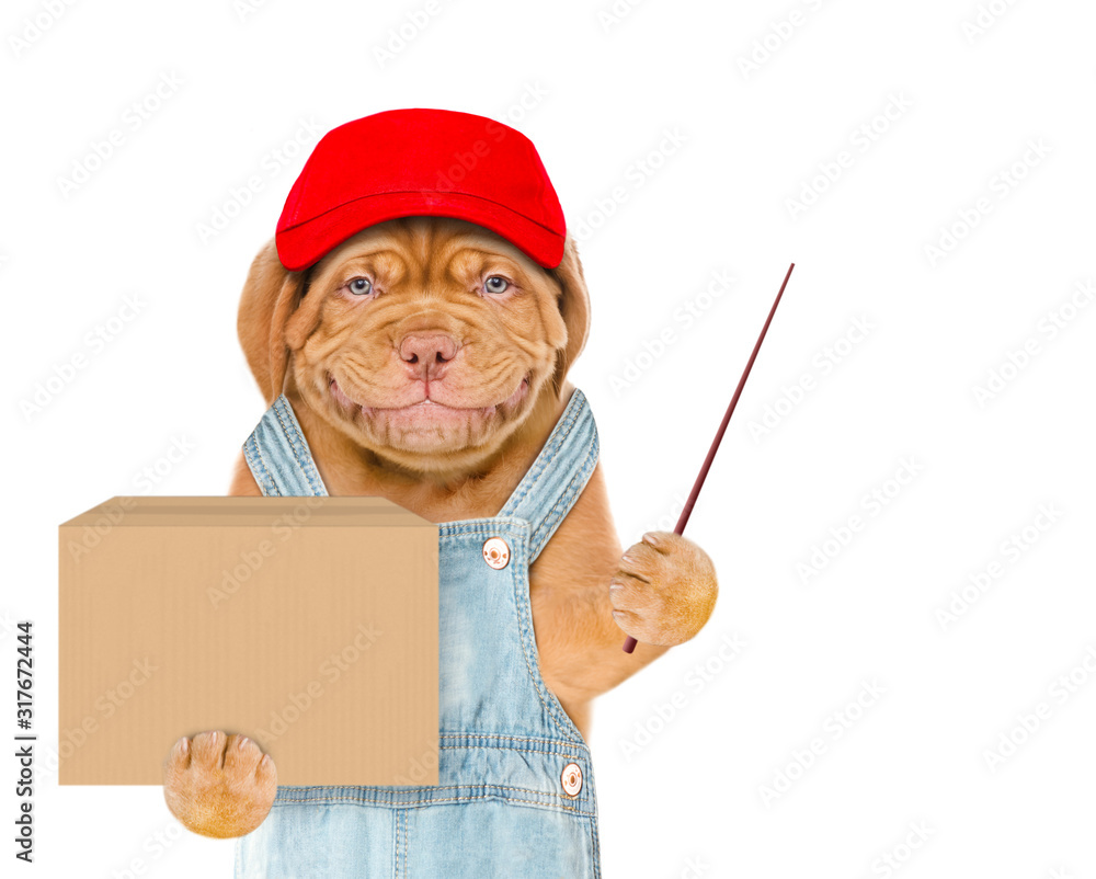 Aufkleber Smiling puppy wearing a red cap and blue overalls holds big box and points away on empty space. isolated on white background