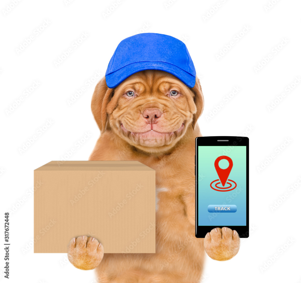 Poster Smiling puppy wearing a blue cap holds smartphone with tracking symbol and big box. tracking concept. isolated on white background