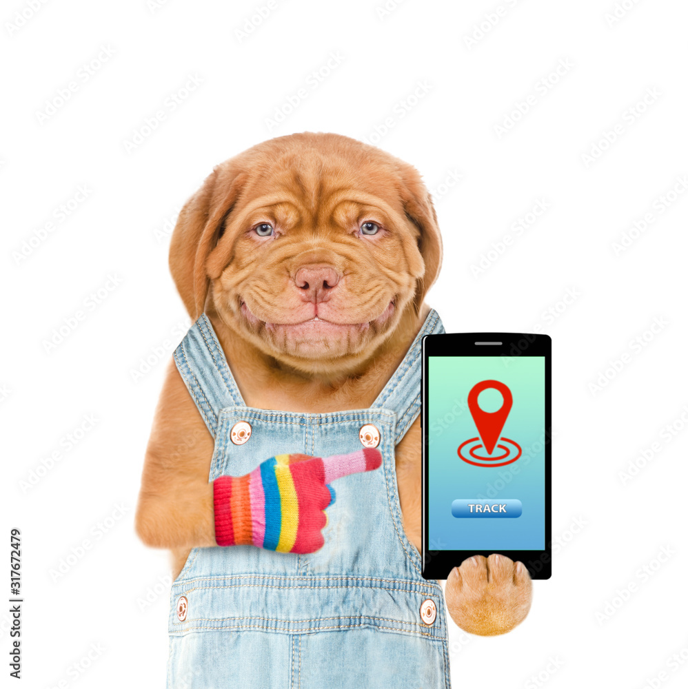 Aufkleber Smiling puppy wearing a blue overalls points on smartphone with tracking symbol. tracking concept. isolated on white background
