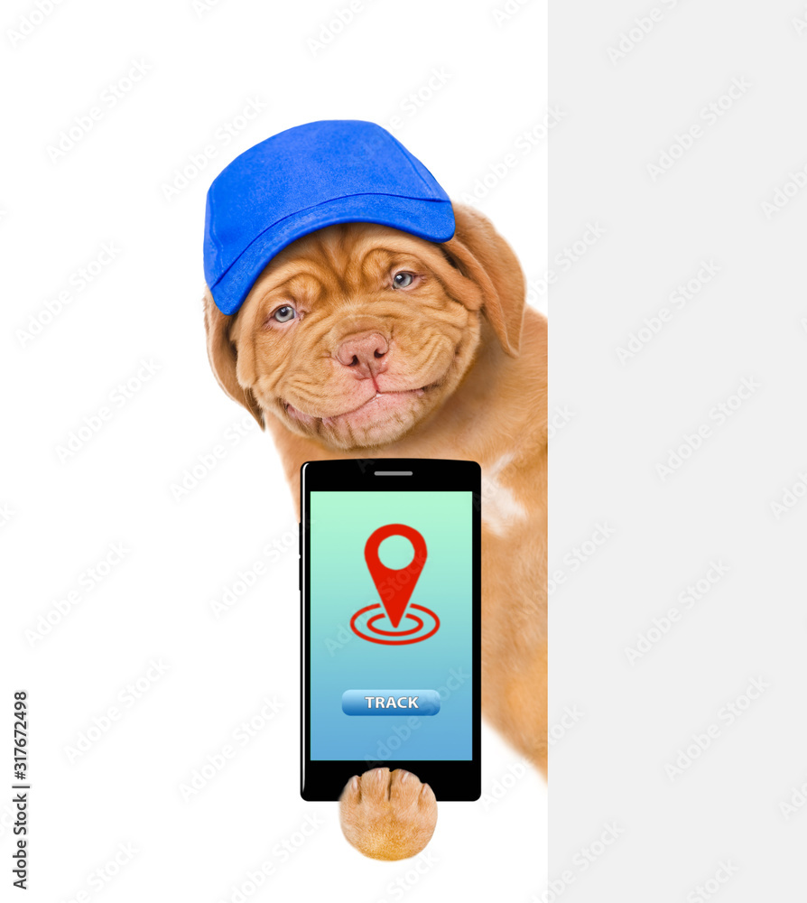 Poster Smiling puppy wearing a blue cap holds smartphone with tracking symbol behind empty banner. Tracking concept. Isolated on white background
