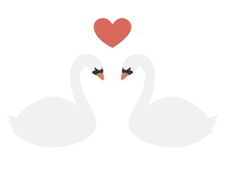 swan