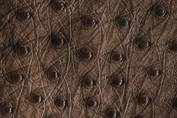 Fotobehang Close-up van struisvogelleer. Platliggende achtergrond van struisvogelhuid. © belyaaa