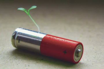 Red Alkaline AA battery close up with a green bore sprouted seed on a neutral background recycling...