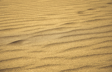 Fototapeta na wymiar texture of sand, waves background, Beach sand waves warm texture pattern background