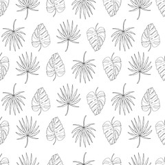 tropical leaves seamless pattern on white background. Monstera leaf vector and fan palm leaf 
