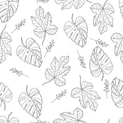 tropical leaves seamless pattern on white background. Monstera leaf vector and fig leaf with elderberry branch