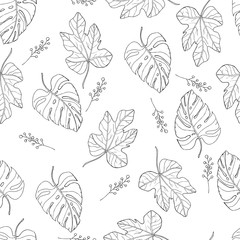 tropical leaves seamless pattern on white background. Monstera leaf vector and fig leaf with elderberry branch