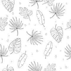 tropical leaves seamless pattern on transparent background. banana leaf vector with monstera leaf and fan palm leaf with fig leaf