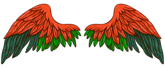 Beautuful bright fiery orange green wings, hand drawn vector © Евгения Савченко