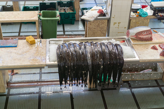 Fresh black scabbardfish on the fish market
