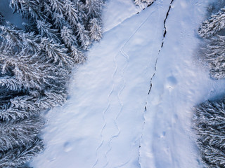 Aerial view of freeride ski traces in powder snow. Concept of action sports in backcountry mountaineering.
