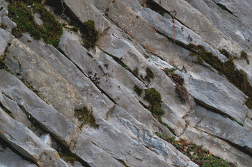 Rock Strata in the Alps