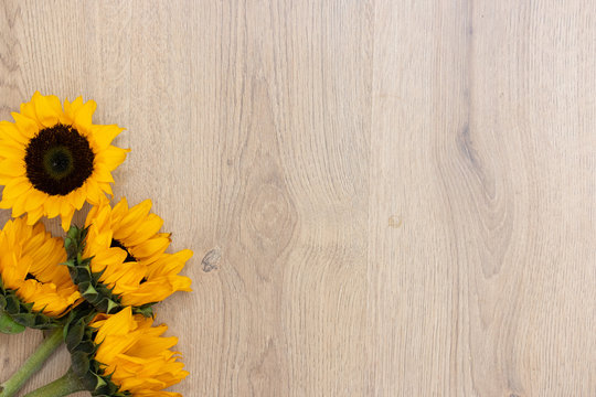 Top view mock up on wooden background with sunflower