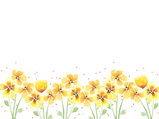 Watercolor Yellow Flower background