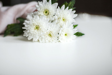 small white chrysanthemums, white delicate flowers on the table, space for text, minimalism 