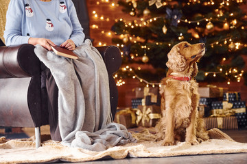 Grandmother with book in hand indoors with dog in christmas decorated room