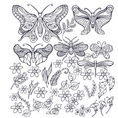 set of vector butterflies, doodle