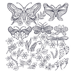 Fototapeta premium set of vector butterflies, doodle