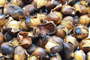 organic chestnuts cooked on fire