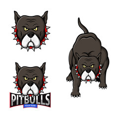 Set of Pitbull Mascot Sport Logo. Vector Illustration