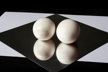 Eier