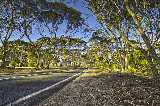 Kanfgaroo Island, South Australia- March 2019: Kangaroo Island Before The Bushfire.