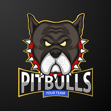 Pitbull Head Mascot, logo for a sport team. vector illustration