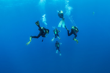 divers, Pico Island, Azores Archipelago.