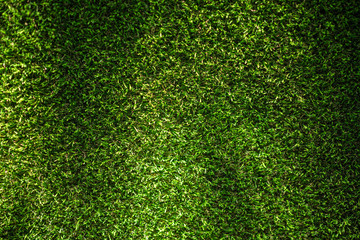 Obraz premium Green space full of green grass background