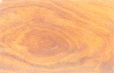wood texture. background old panels