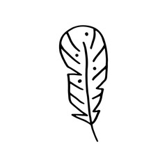 Bird feather hand drawn doodle vector line art illustration, sticker, icon. Black monochrome design. Isolated on white background. Easy to change color. Design element. Magic, witchcraft tools. Witch.