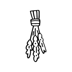 Dried herbs hand drawn doodle vector line art illustration, sticker, icon. Black monochrome design. Isolated on white background. Easy to change color. Design element. Magic, witchcraft tools. Witcher