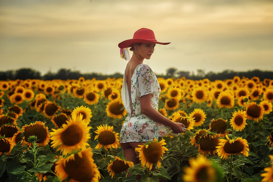 Young woman in a field with blooming sunflowers at sunset