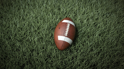 A close-up of the american ball on the field
