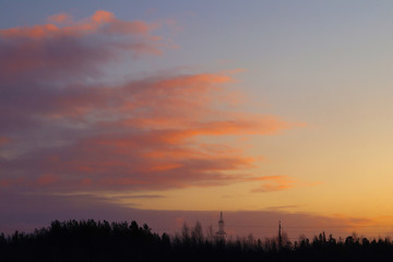 Beautiful winter sunset in the forest. Selective focus. Sunset sky with pink and purple clouds and winter forest.