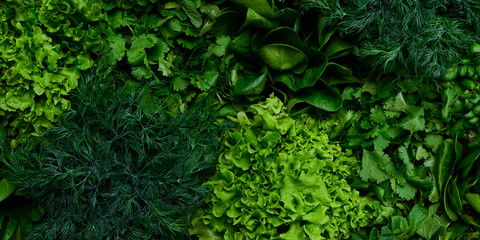 Fresh green lettuce salad mix on light wooden background with copy space