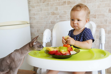 Cheerful naughty baby girl plays with fruit at home, cat sniffs her plate with interest