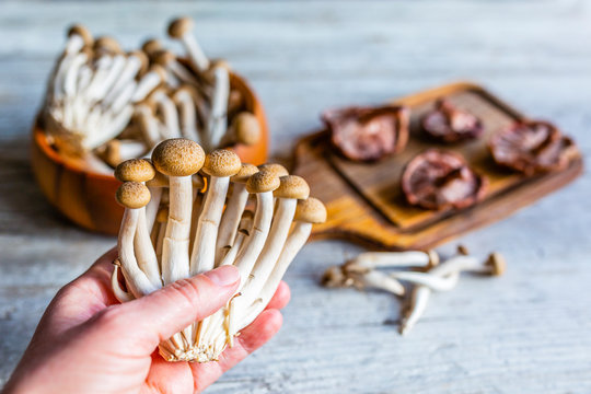 Fresh Shimeji in hand and Shitake mushrooms on a wooden board.