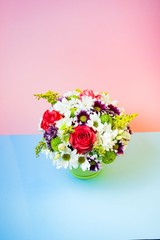 Flowers on blue and pink background
