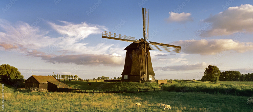 Wall mural Dutch windmill