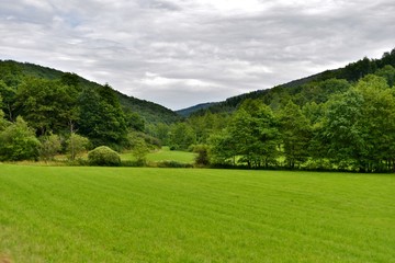 Fototapeta na wymiar landscape of meadow, hills and trees