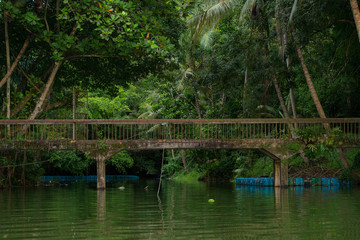 Fototapeta na wymiar Hat Yai Municipality Park, Hat Yai district,, Songkhla, Thailand.